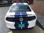 2014 Ford Shelby Picture 3