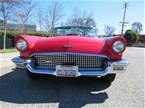 1957 Ford Thunderbird Picture 3