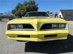 1978 Pontiac Firebird Picture 3