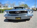 1966 Ford Mustang Picture 3