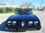 1979 Pontiac Trans Am Picture 3