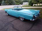 1955 Ford Thunderbird Picture 3