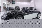 1957 Austin Healey 100-6 Picture 3