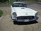 1957 Ford Thunderbird Picture 3