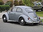 1965 Volkswagen Beetle Picture 3