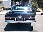 1967 Mercedes 250S Picture 3