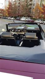 1969 Oldsmobile Cutlass Picture 3