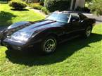 1977 Chevrolet Corvette Picture 3