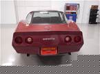 1981 Chevrolet Corvette Picture 3