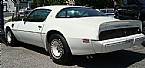 1981 Pontiac Firebird Picture 3