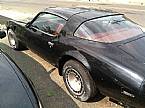 1981 Pontiac Trans Am Picture 3