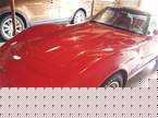 1981 Chevrolet Corvette Picture 3