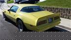1977 Pontiac Firebird Picture 3
