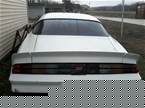 1981 Chevrolet Camaro Picture 3