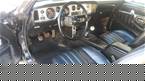 1979 Pontiac Trans Am Picture 3