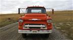 1956 Chevrolet COE Picture 3