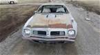 1975 Pontiac Trans Am Picture 3