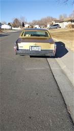 1978 Cadillac Sedan Deville Picture 3