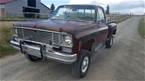 1978 Chevrolet Stepside Picture 3