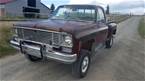 1978 Chevrolet Stepside Picture 3