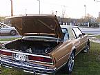 1977 Chevrolet Caprice Picture 3