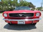 1965 Ford Mustang Picture 3