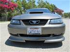 2001 Ford Mustang Picture 3