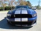 2010 Ford Shelby Picture 3