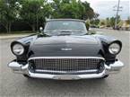 1957 Ford Thunderbird Picture 3