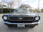 1966 Ford Mustang Picture 3