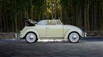 1957 Volkswagen Beetle Picture 3