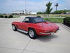 1966 Chevrolet Corvette Picture 3