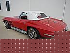 1966 Chevrolet Corvette Picture 3