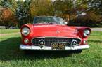 1955 Ford Thunderbird Picture 3