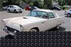 1956 Ford Thunderbird Picture 3