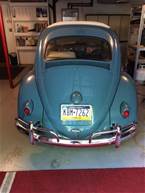 1961 Volkswagen Beetle Picture 3