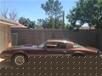 1979 Pontiac Trans Am Picture 3