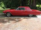 1966 Ford Thunderbird Picture 3