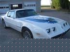 1979 Pontiac Trans Am Picture 3