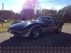 1978 Chevrolet Corvette Picture 3