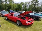 1974 Pontiac Firebird Picture 3