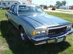 1985 Chevrolet Caprice Picture 3