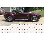 1965 Shelby Cobra Picture 3
