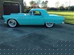 1955 Ford Thunderbird Picture 3