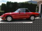 1986 Alfa Romeo Spider Picture 3