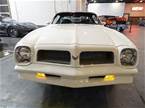 1976 Pontiac Firebird Picture 3