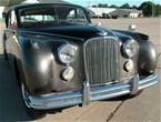 1953 Jaguar MKVII Picture 3