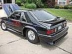 1981 Ford Mustang Picture 3