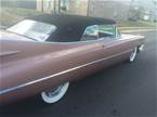 1959 Cadillac 62 Picture 3