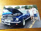 1966 Ford Mustang Picture 3